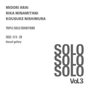 nishimura rika Midori Arai×Rika Minamitani×Kosuke Nishimura solo exhibitions “SOLO SOLO  SOLO Vol.3” - biscuit gallery