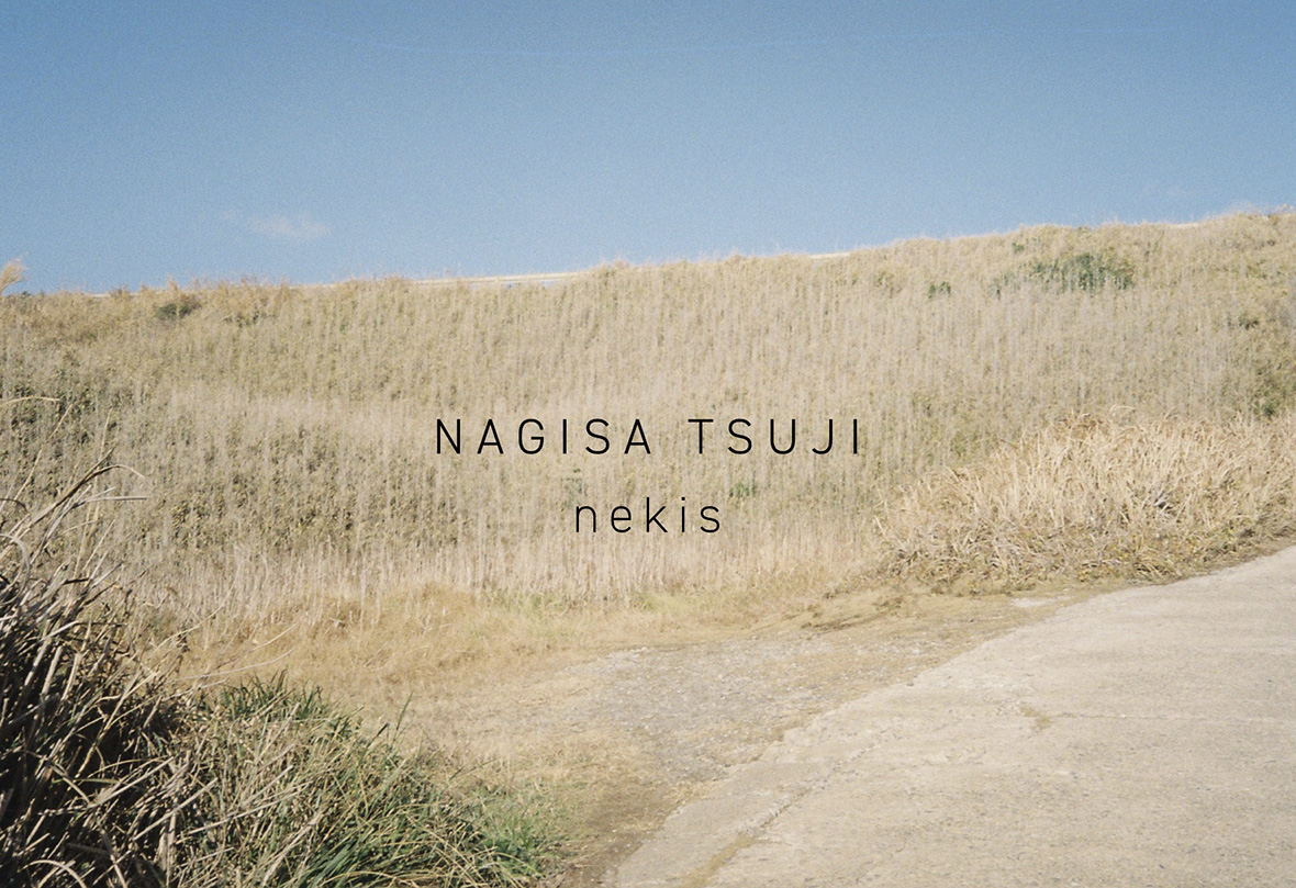【個展】辻凪彩｜Nagisa Tsuji「nekis」