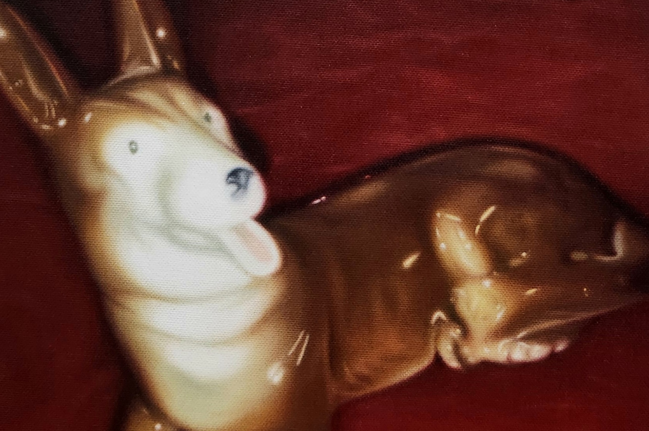  キム・ソヨン｜Seoyeon Kim