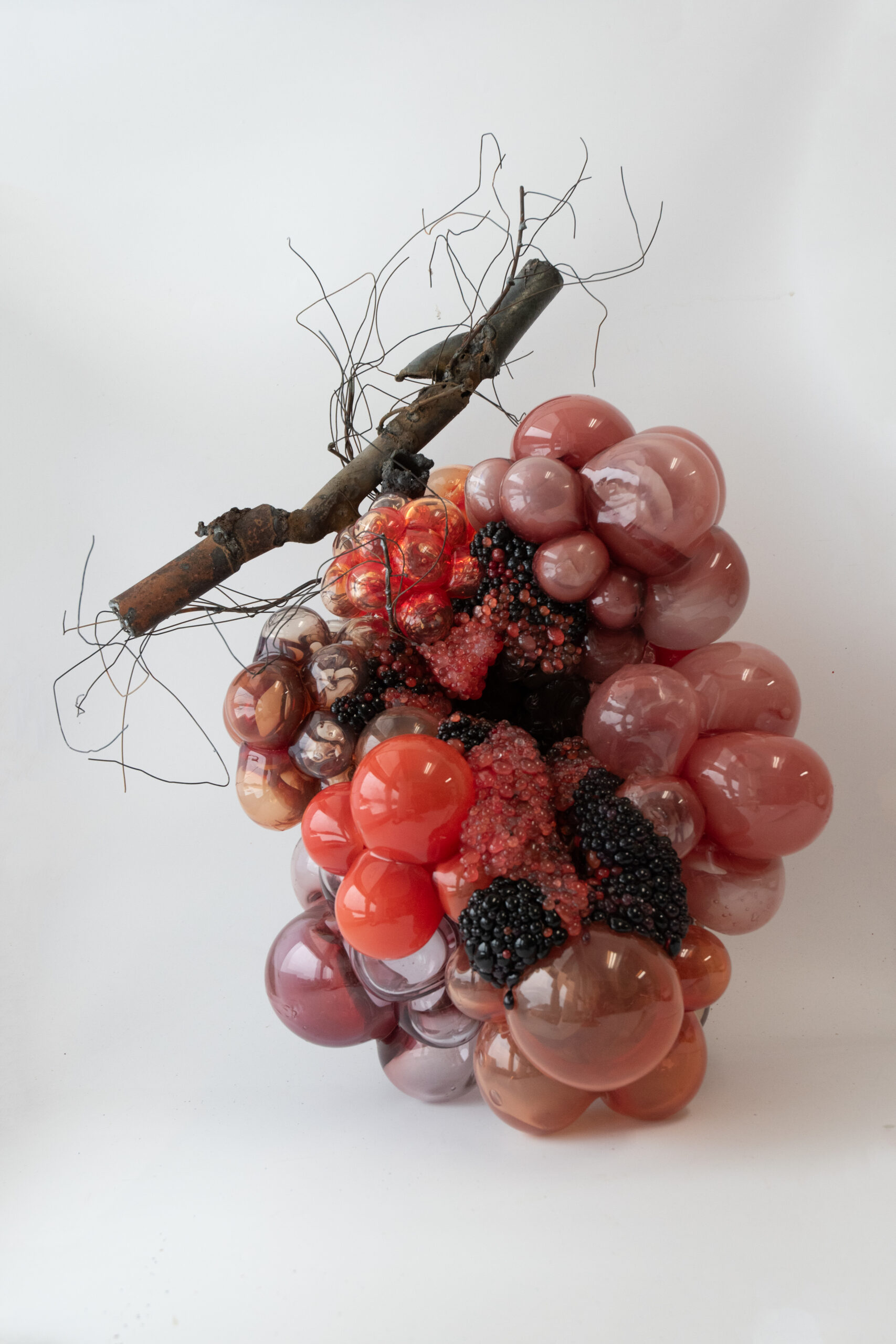 biscuit gallery_grid5_展示販売作品