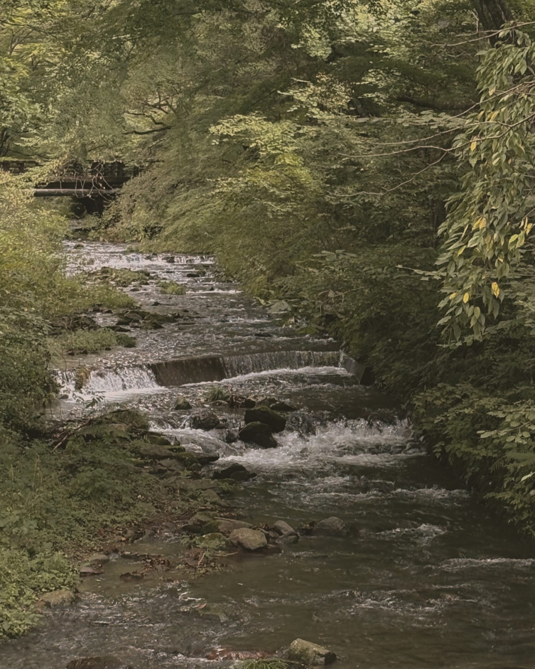 二手橋
